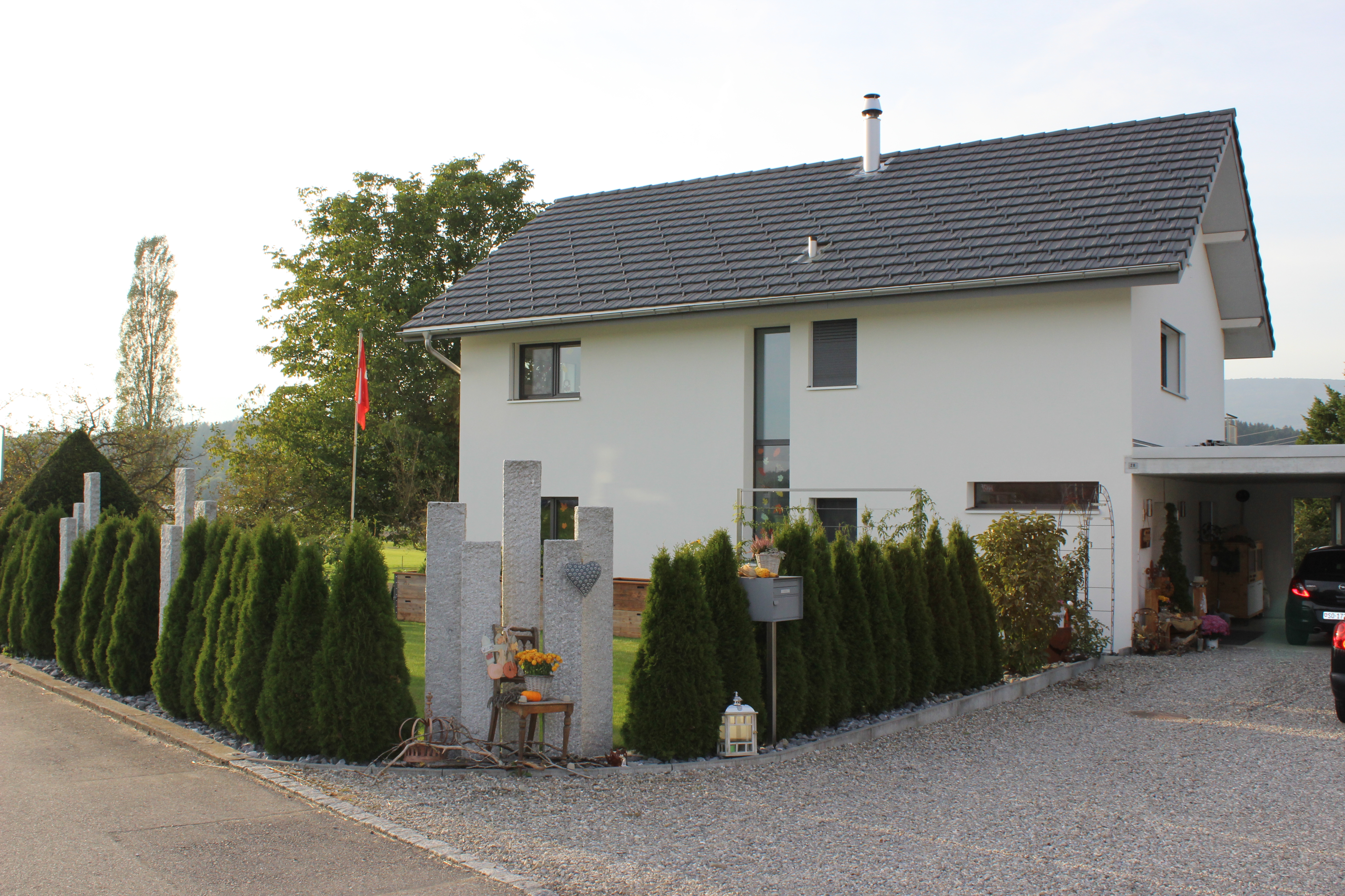 Einfamilienhaus in Wolfwil
